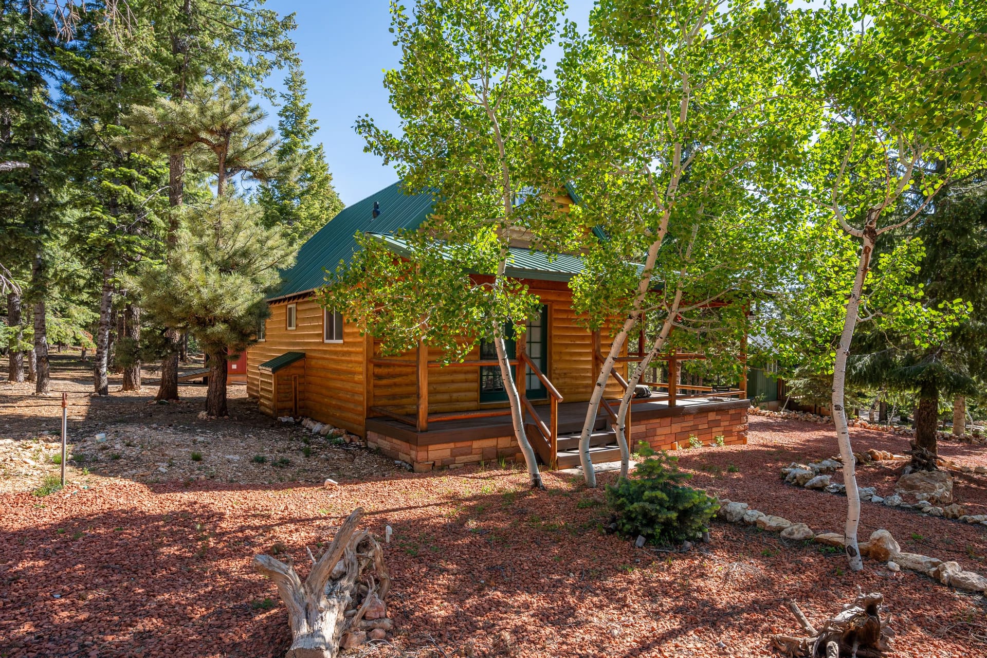 Forest Haven cabin interior with loft, full kitchen, and wood-paneled living area