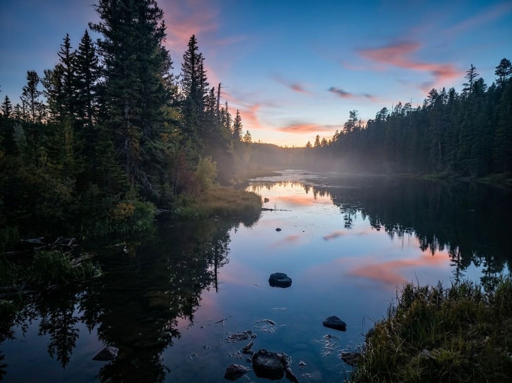 Small alpine lake hidden in aspens—wildlife and reflections