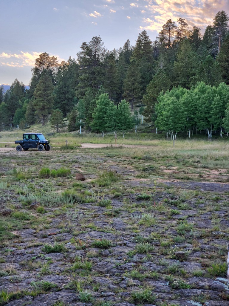 Open meadow and forest edge near Duck Creek Village, Utah — the kind of high-country landscape Hollywood filmed on Cedar Mountain