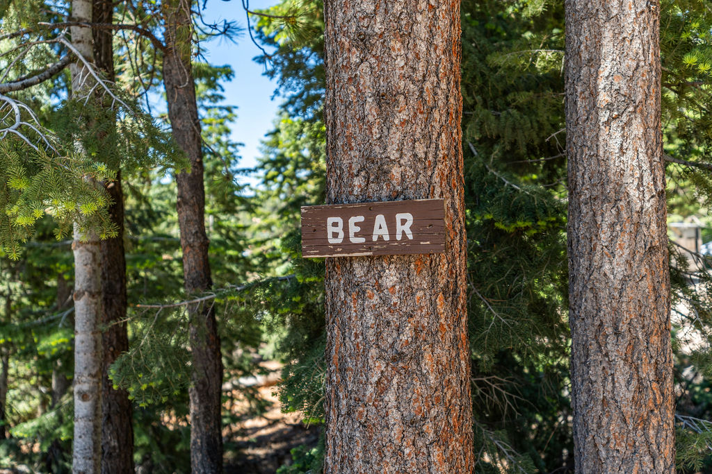 Bear Cabin at Duck Creek Village Inn