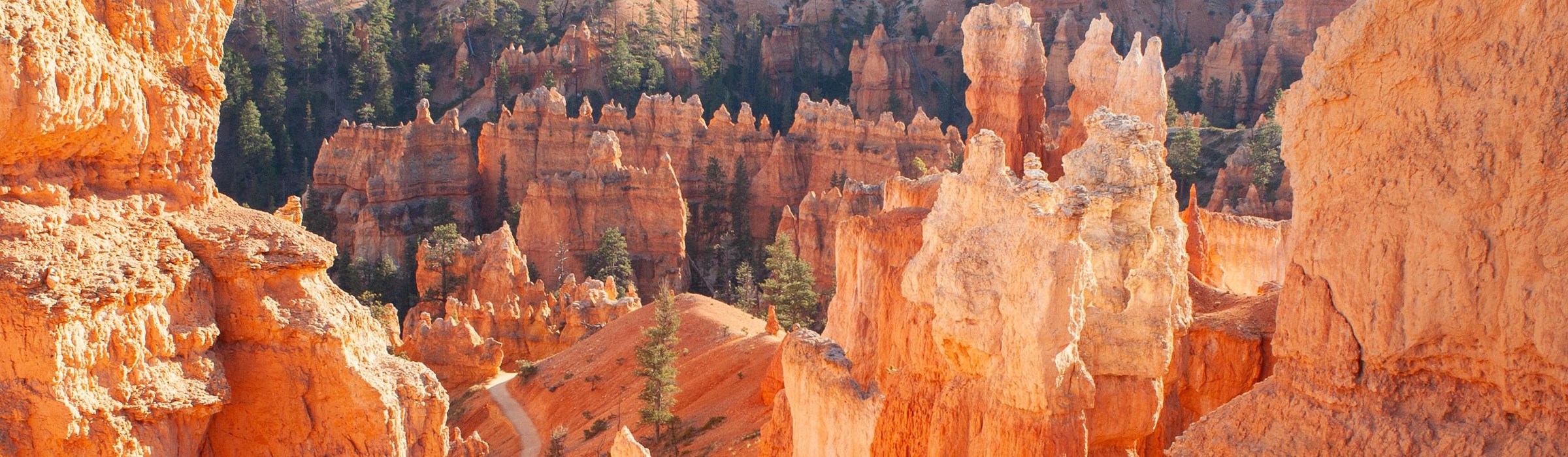 The Bryce Amphitheater with thousands of orange and red hoodoos viewed from the rim