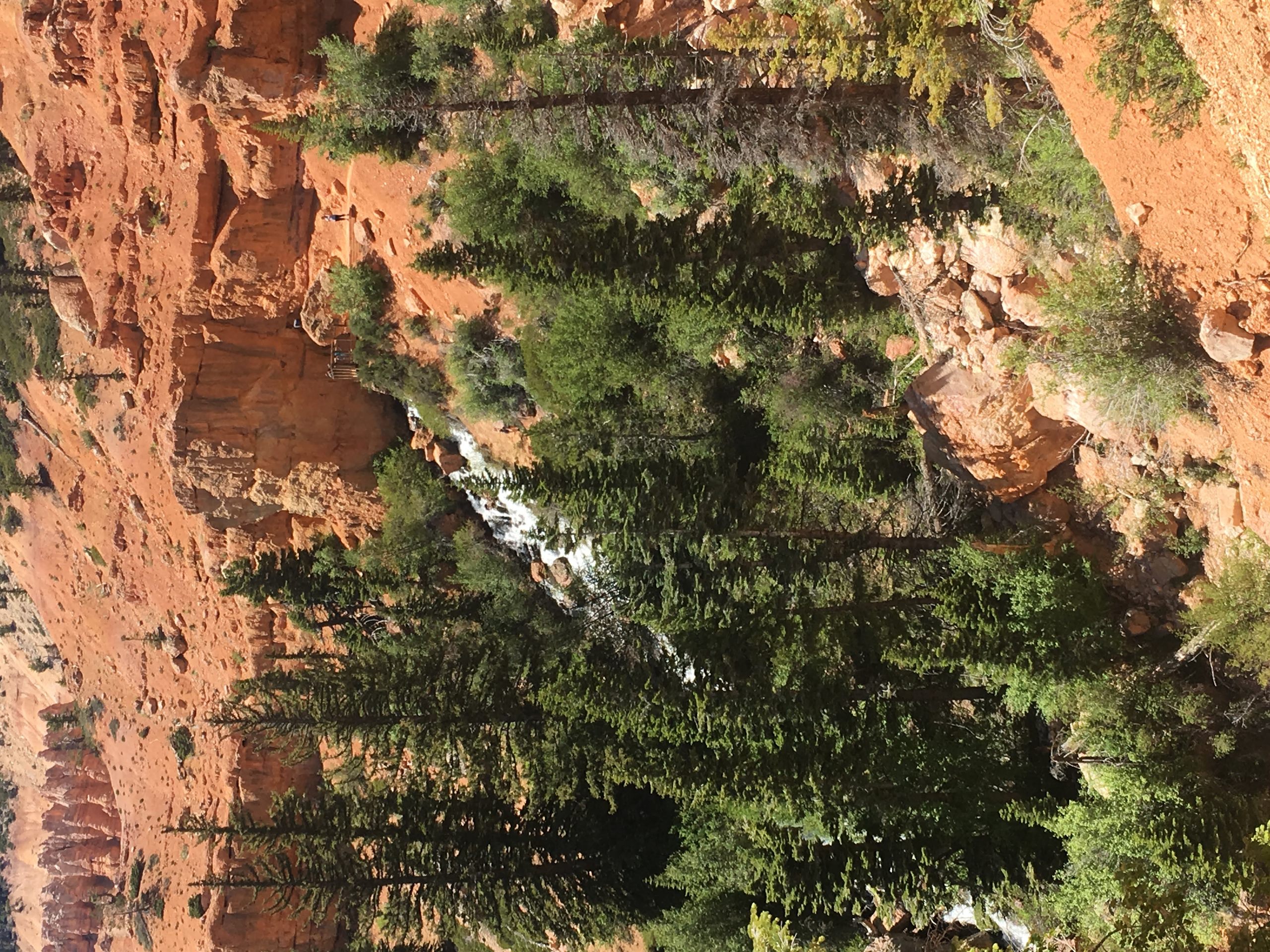 Waterfall hike with natural pools above the falls