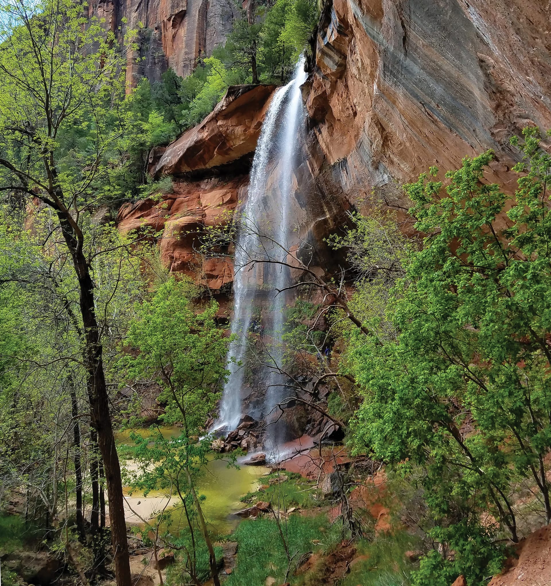 Emerald Pools waterfall dropping from a sandstone alcove in Zion