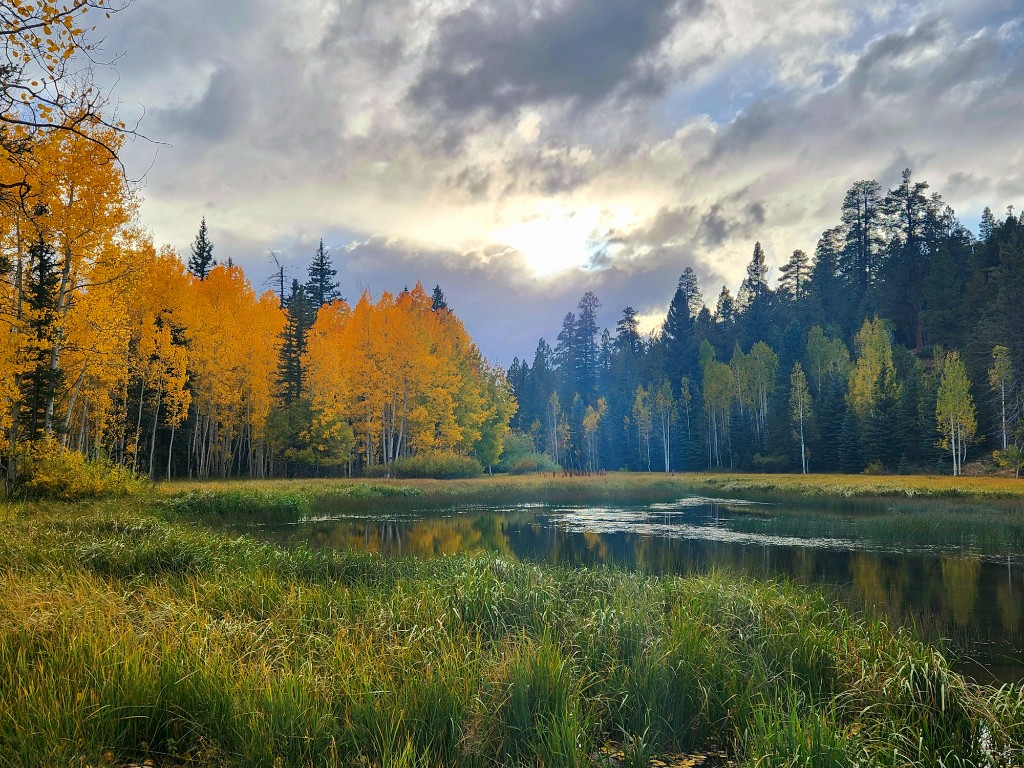 Duck Creek Village area pond surrounded by golden aspens in fall with mountains and forest behind