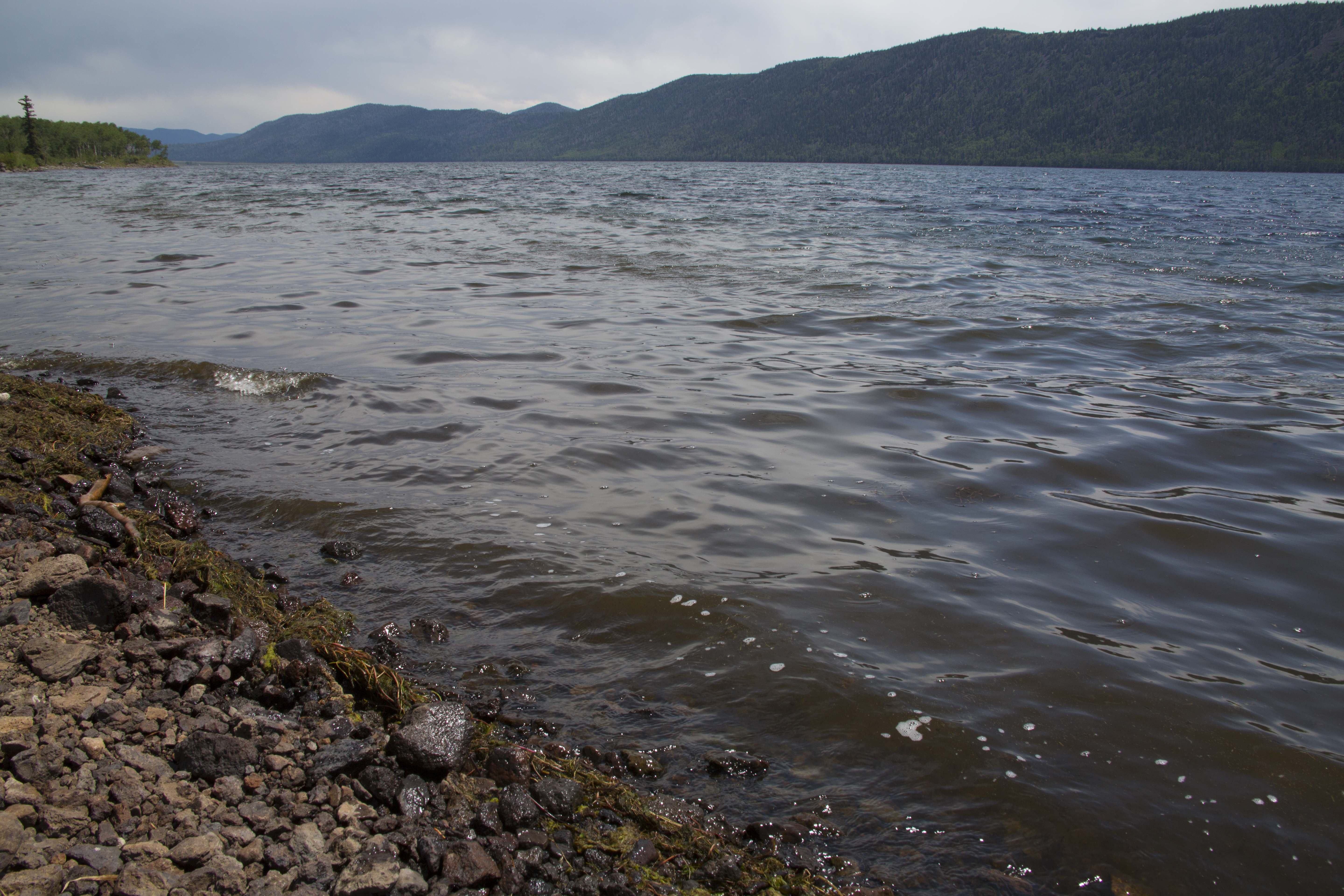 Oever van Fish Lake met een breed wateroppervlak en beboste bergen