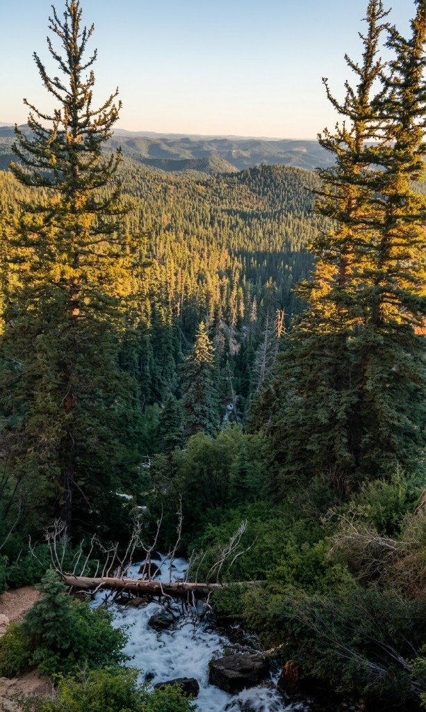 Trails for every level, from family strolls to alpine ridges