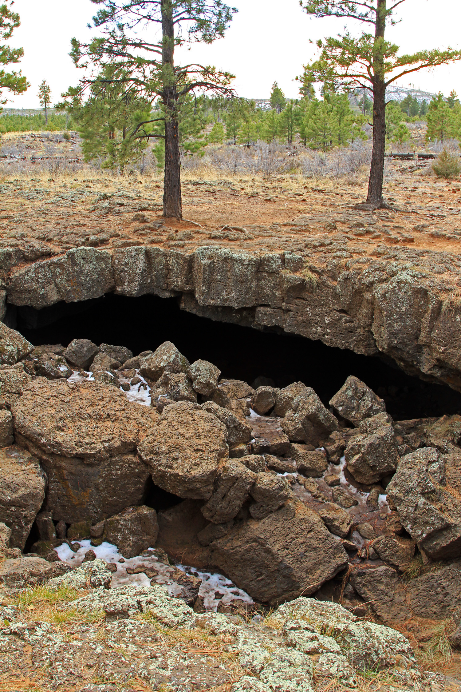 L’un des plus grands tubes de lave de l’Utah — Dixie National Forest