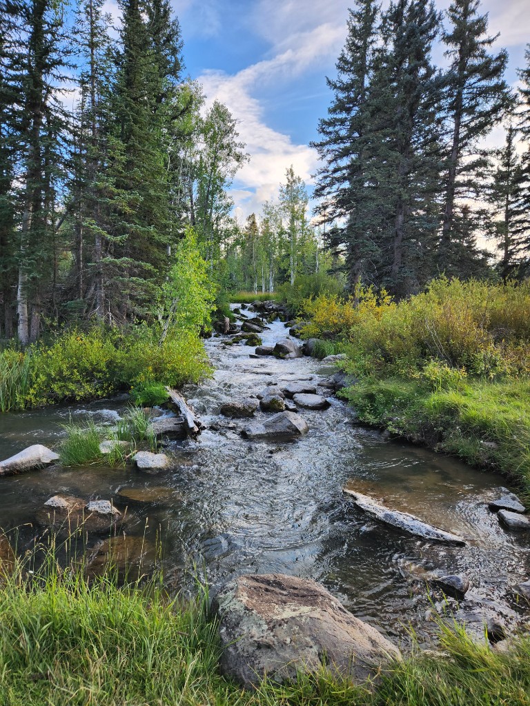 A clear mountain creek running through forest near Duck Creek Village, Utah