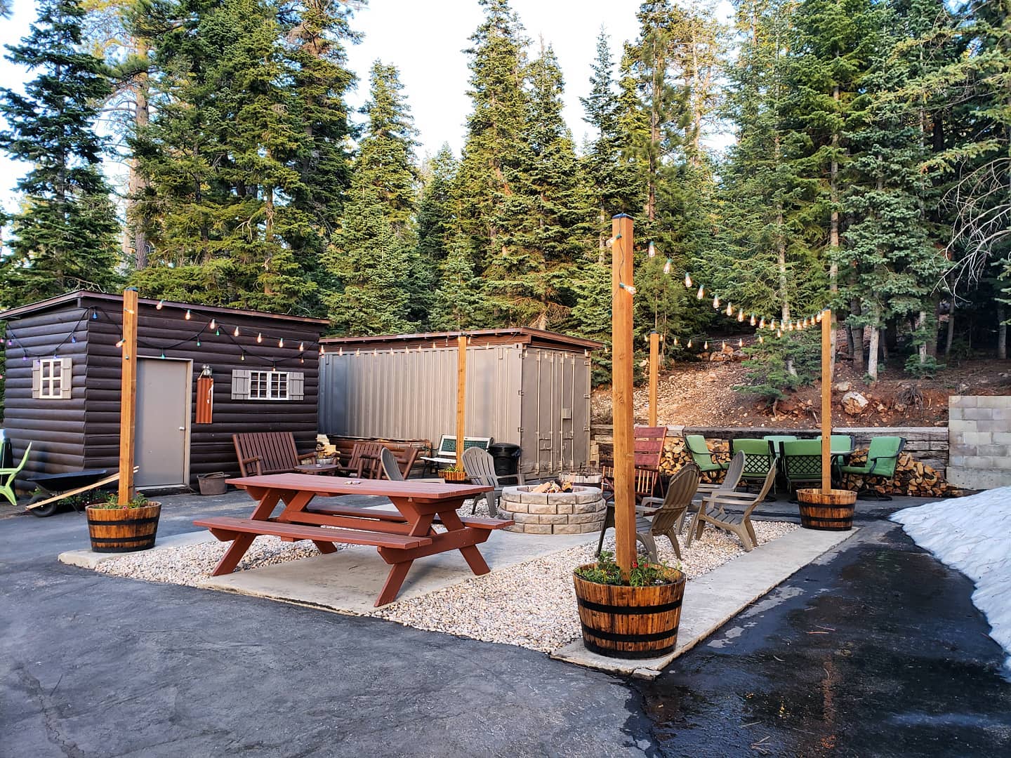 Forest trail near Duck Creek Village