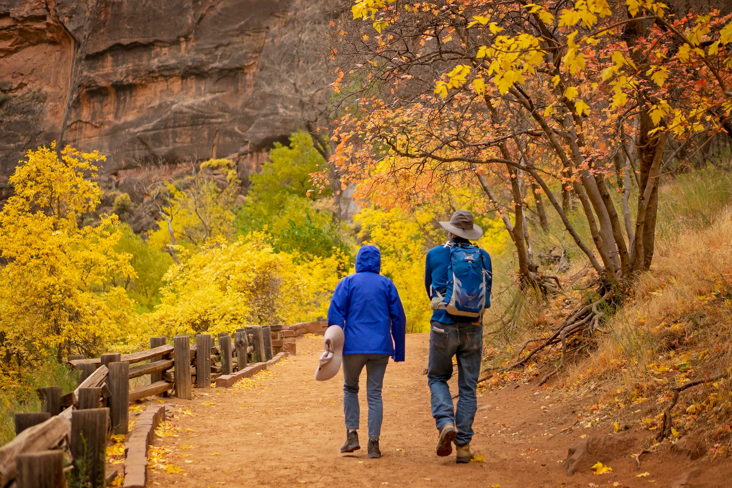 The Riverside Walk beside the Virgin River as the canyon walls close in