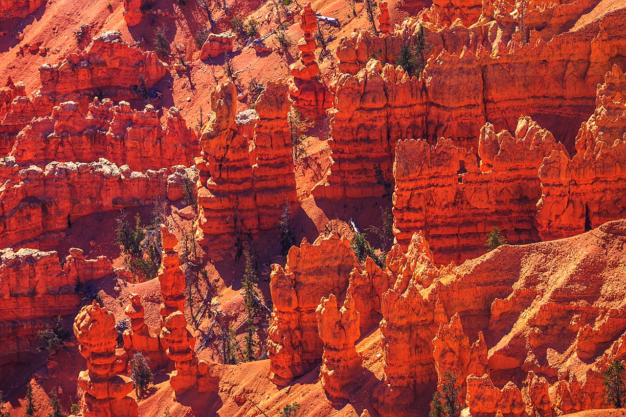 View from the Cedar Breaks rim trail with bristlecone pines and the amphitheater in the distance