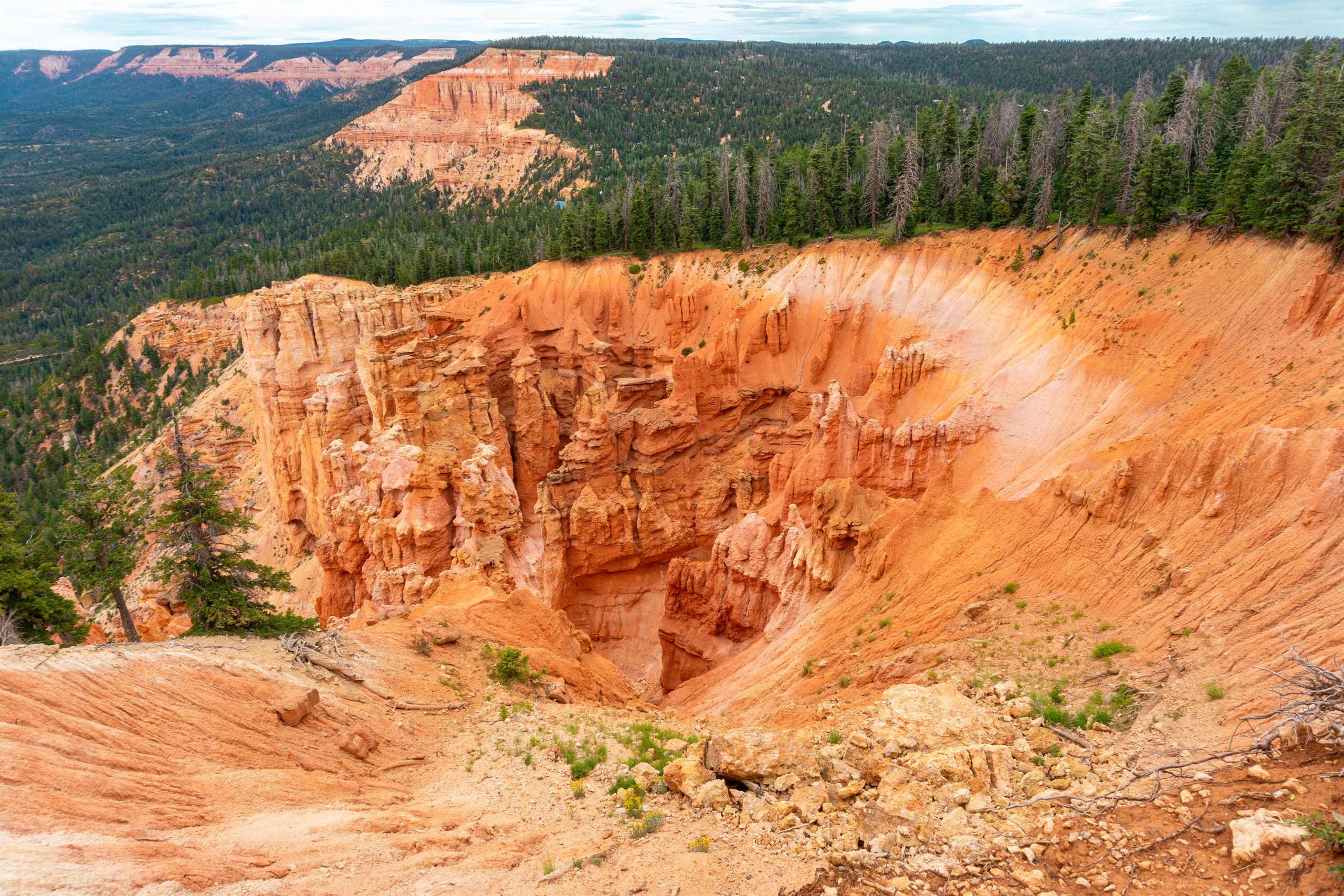 Red rock, alpine forests, and everything in between