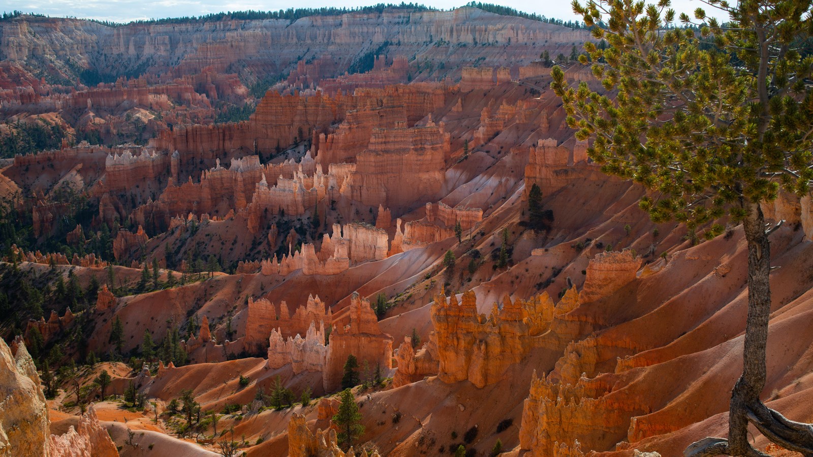 Morning light over the Bryce Canyon amphitheater from Sunrise Point