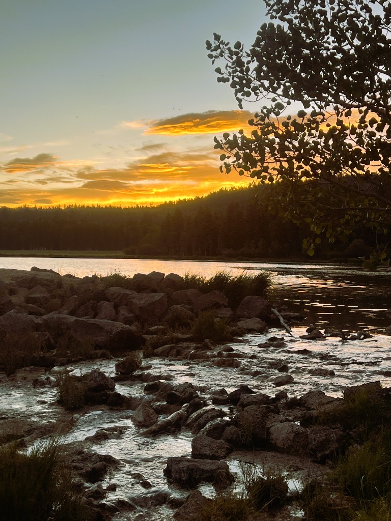 Where to fish near Duck Creek Village — Navajo Lake, Duck Creek Pond, Aspen Mirror Lake, and Panguitch Lake with species, gear, and seasonal tips