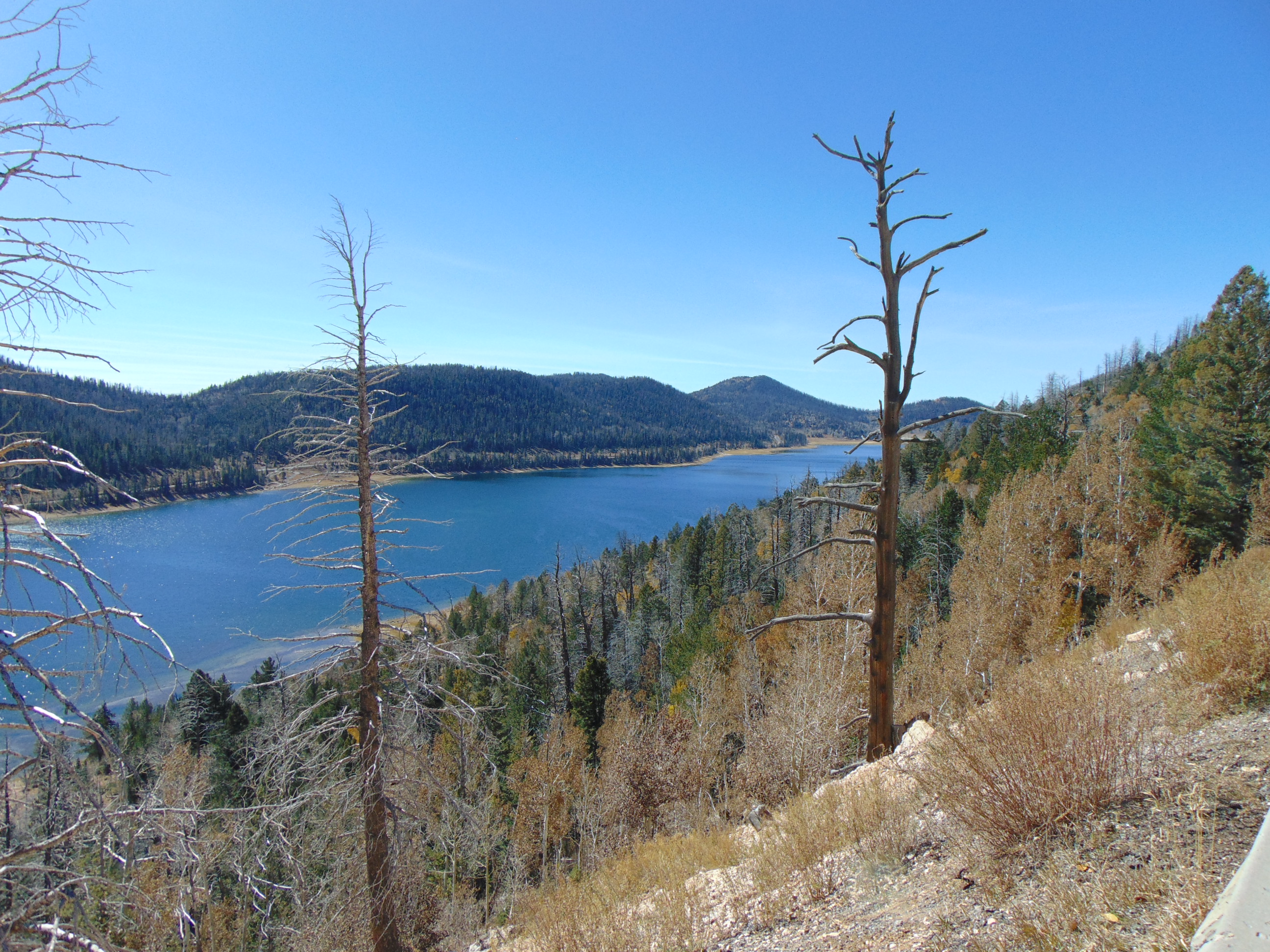 Navajo Lake in Kane County, Utah, ringed by forest under a mountain sky