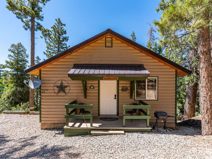 Bear Cabin Außenansicht zwischen den Kiefern in Duck Creek Village