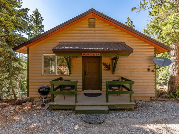 Moose Cabin Außenansicht zwischen den Kiefern in Duck Creek Village