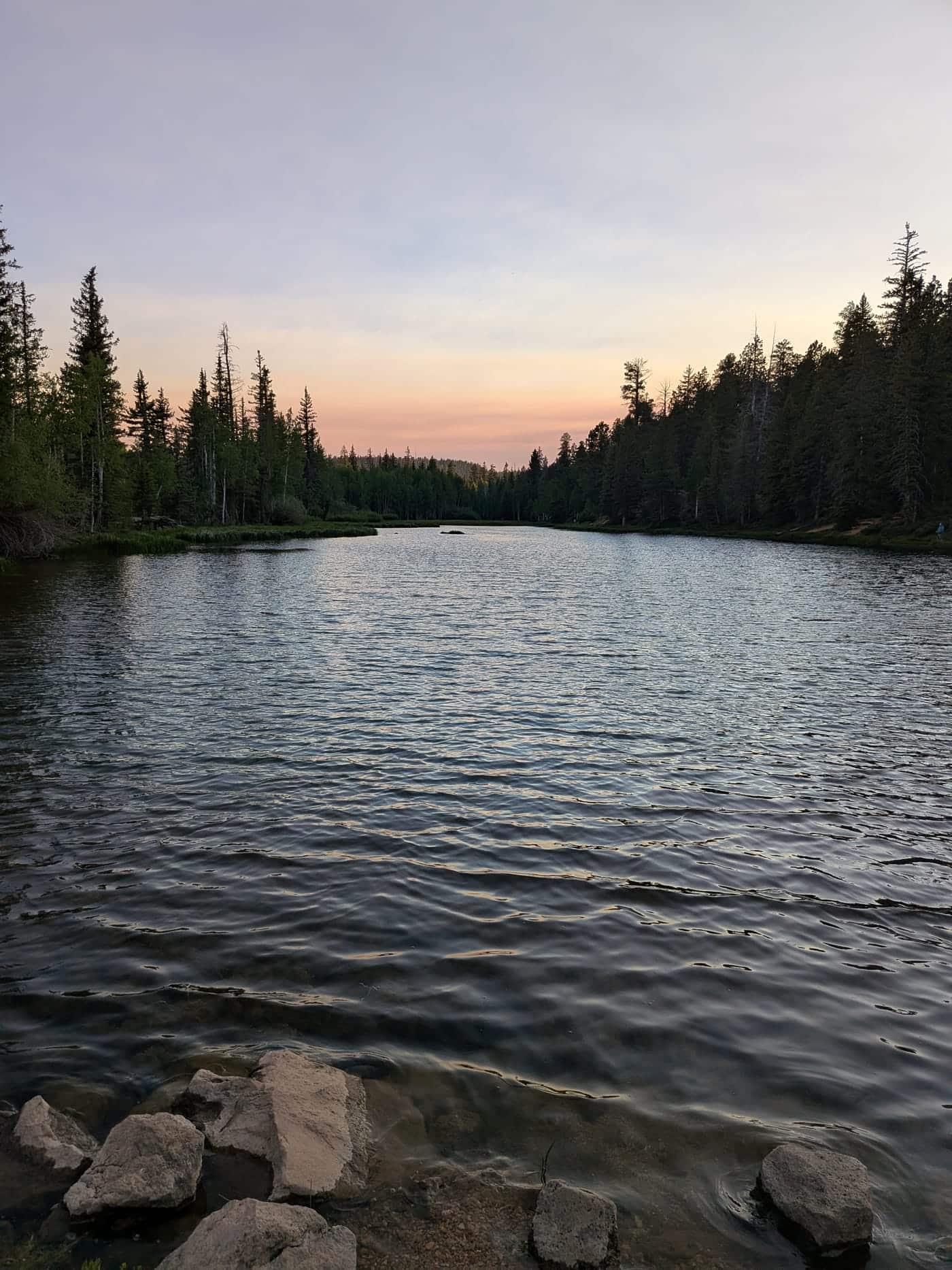 Aspen Mirror Lake at sunset with spruce and aspen silhouetted against a pink sky and rocks in the shallows
