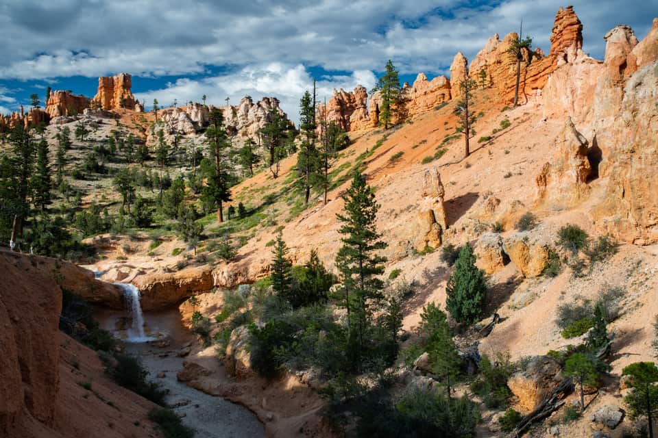 Waterfall in Water Canyon on the Mossy Cave Trail with hoodoos above (NPS photo by Peter Densmore)