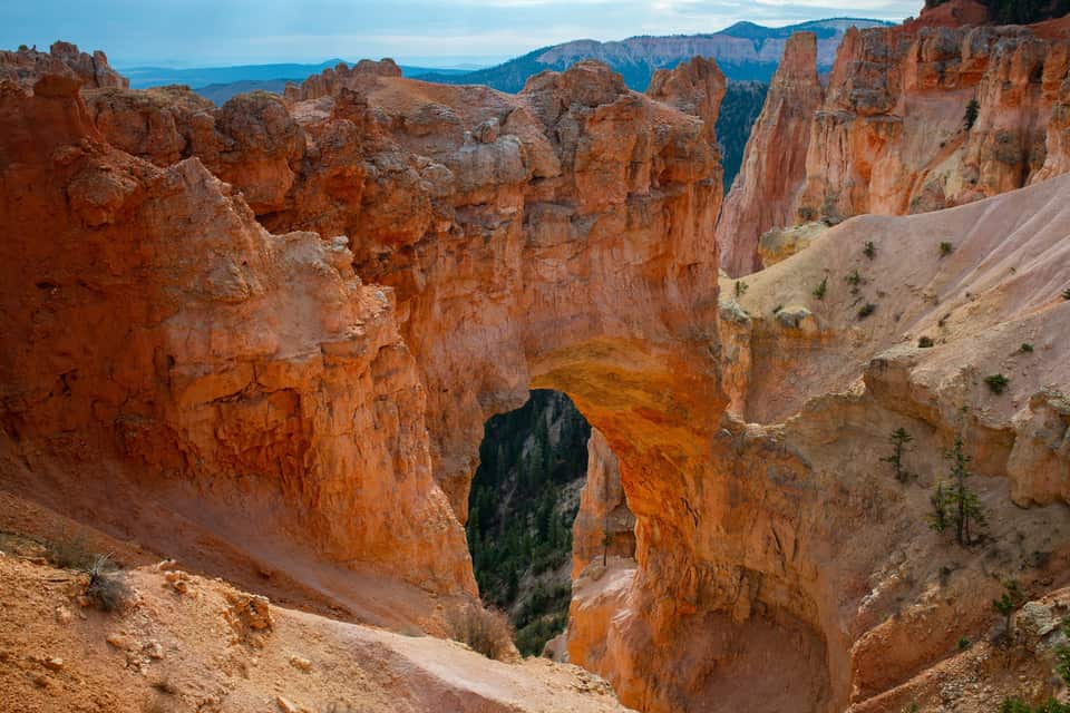 The Natural Bridge arch at Bryce Canyon, orange limestone framing a forested gully (NPS photo by Peter Densmore)