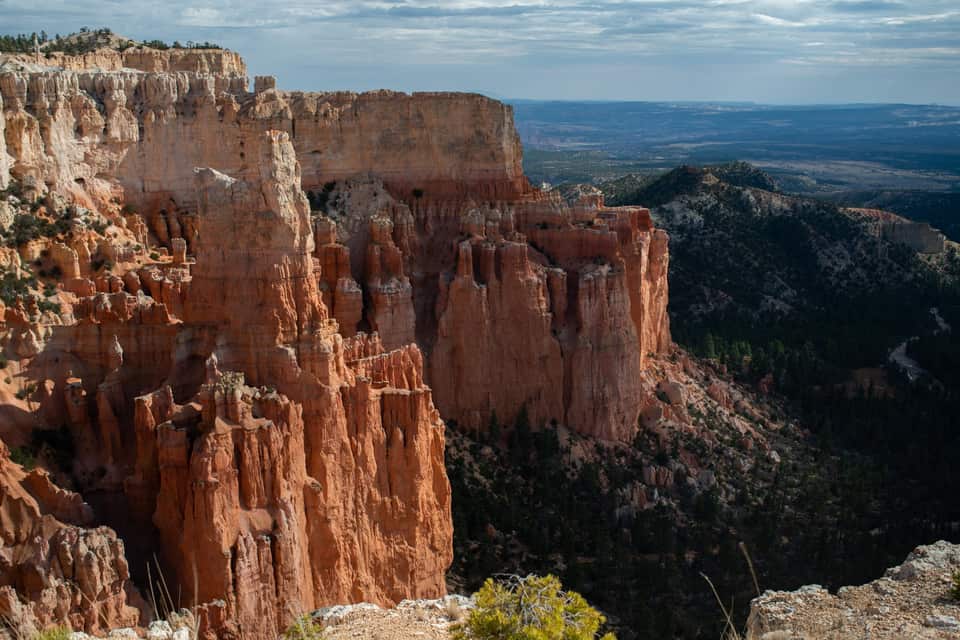 Red rock cliffs and hoodoos above a forested valley at Paria View (NPS photo by Peter Densmore)