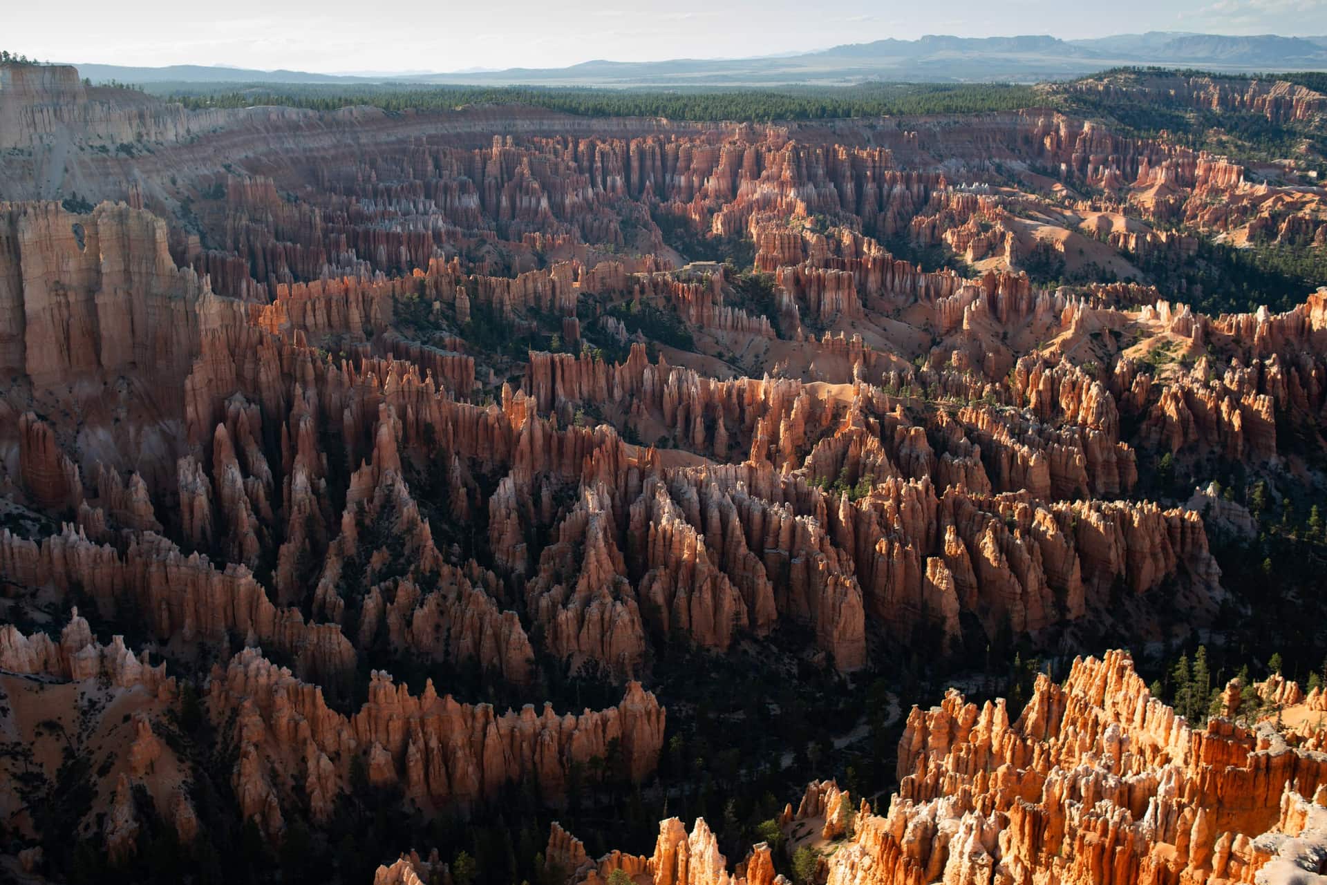 The Bryce Amphitheater from Bryce Point, thousands of orange hoodoos in morning light (NPS photo by Peter Densmore)