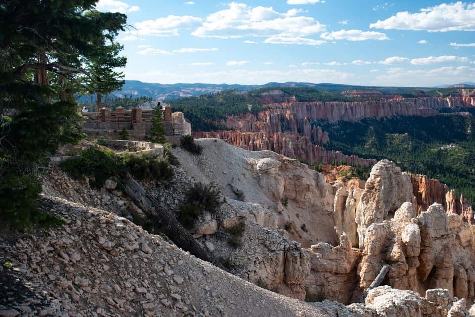 Hoodoos and forest below the Rainbow Point overlook railing (NPS photo by Peter Densmore)