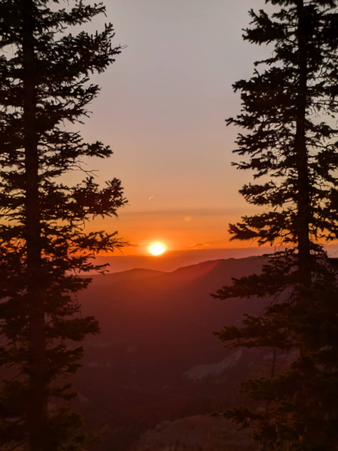 The setting sun framed between two dark spruce trees at Cedar Breaks, the sky banded orange and pink over layered ridges