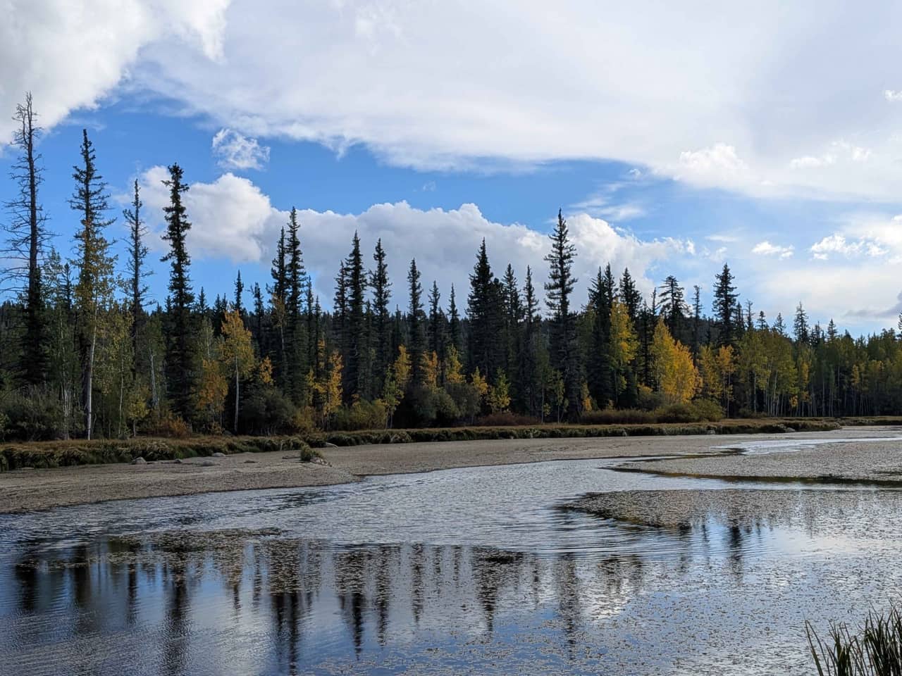 Duck Creek Pond under broken cloud with a dark spruce treeline and the first gold along the far shore