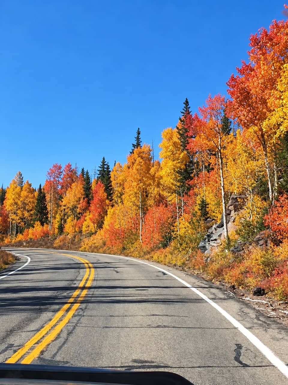Scenic Byway 14 curving past a slope of red, orange, and gold aspens against a deep blue sky