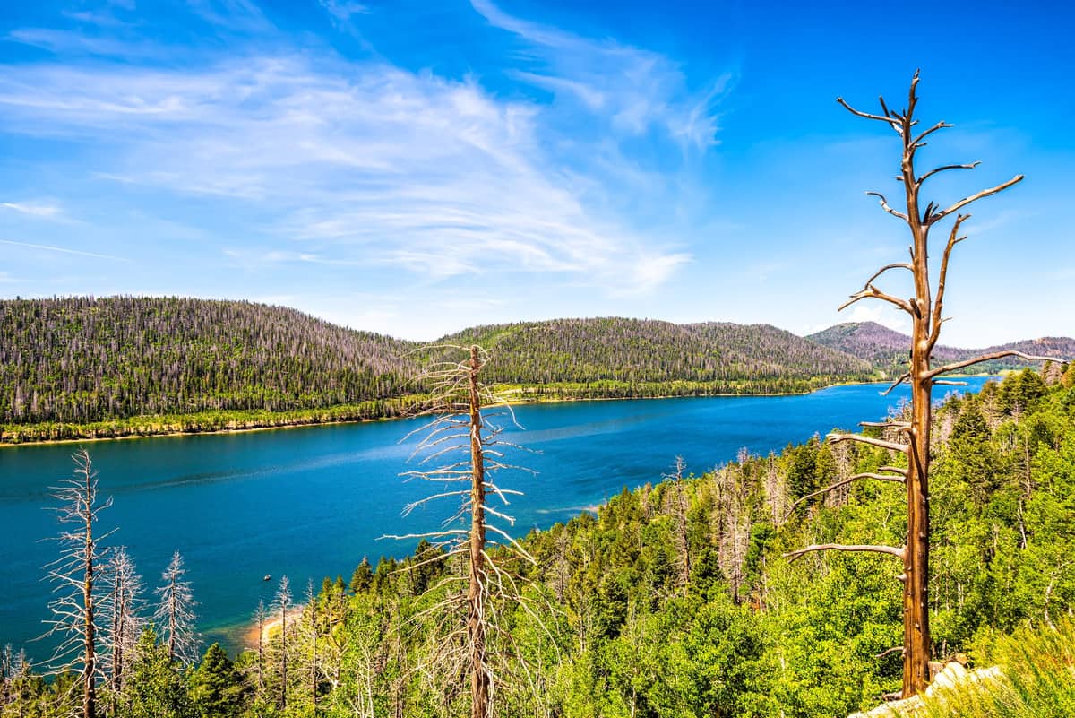 Navajo Lake entouré de forêt dans le sud de l’Utah