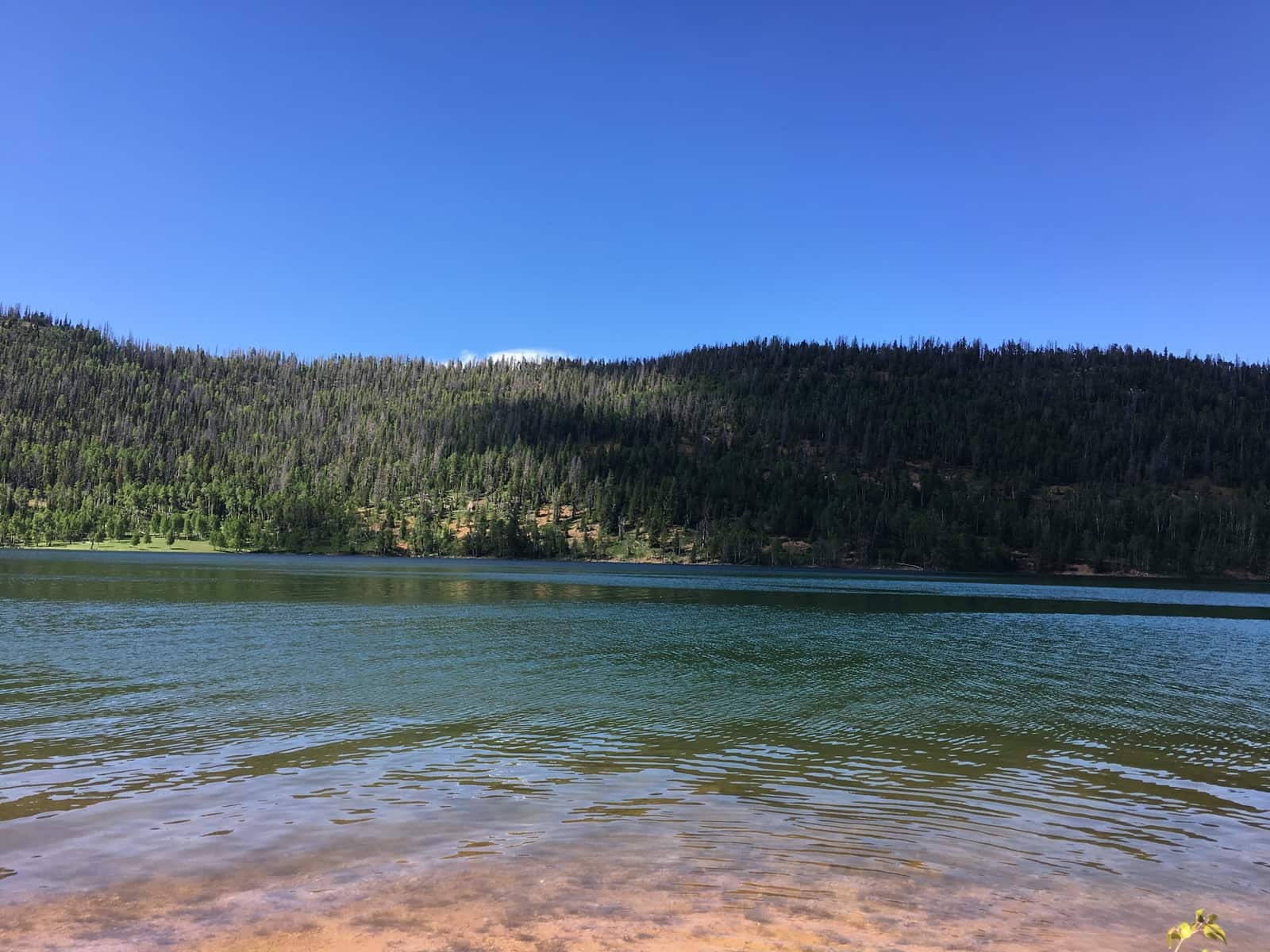 Navajo Lake from the south shore near the campgrounds, with a forested ridge across the water
