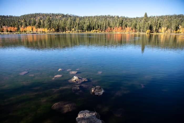 Duck Creek Village lake and forest scenery