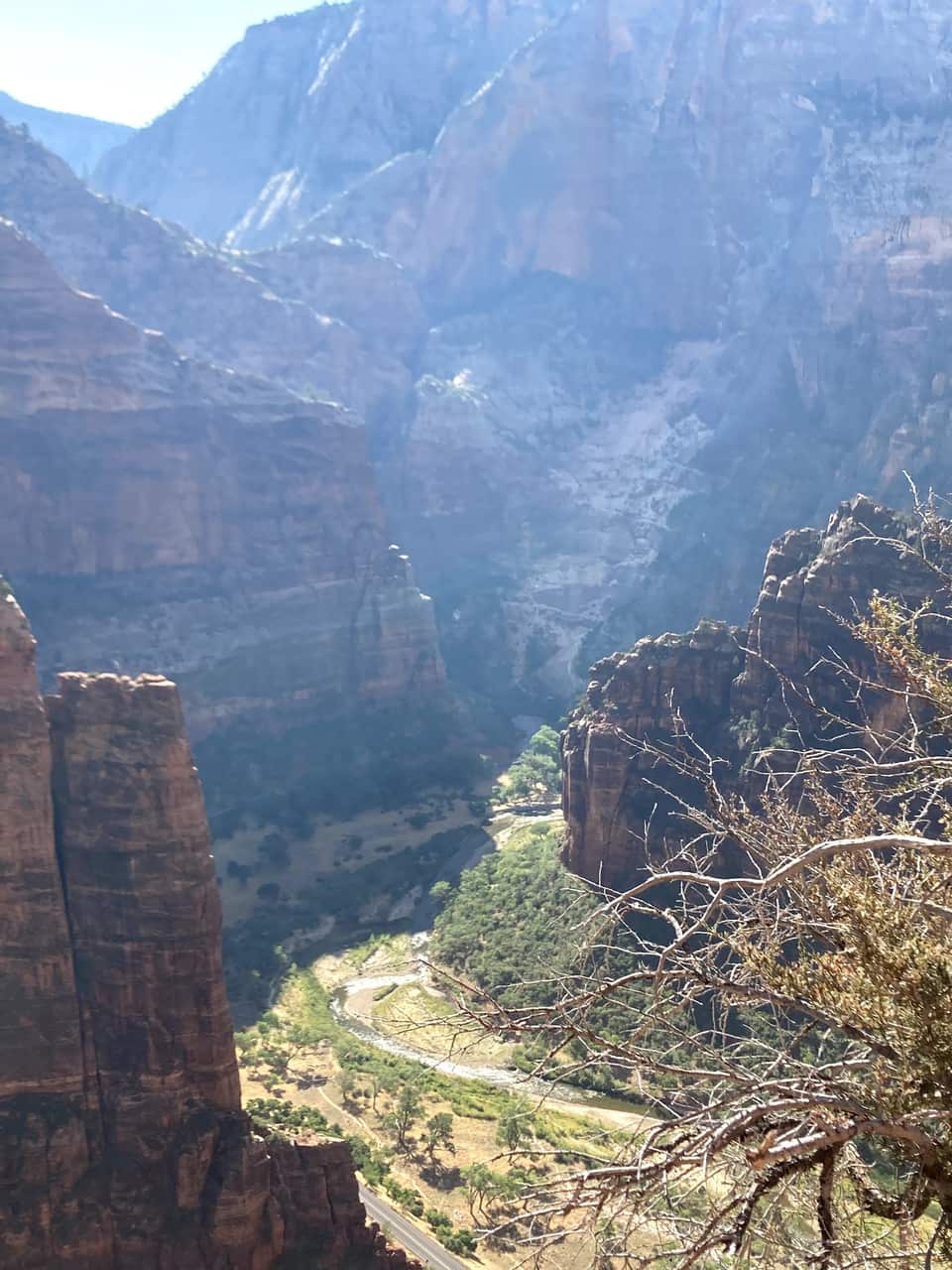 Zion Canyon and the Virgin River seen from near Scout Lookout, photographed by the innkeepers