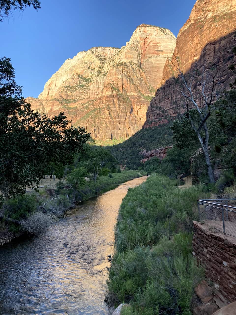 The Virgin River from the Grotto footbridge at 8 AM, sunlight on the canyon wall above