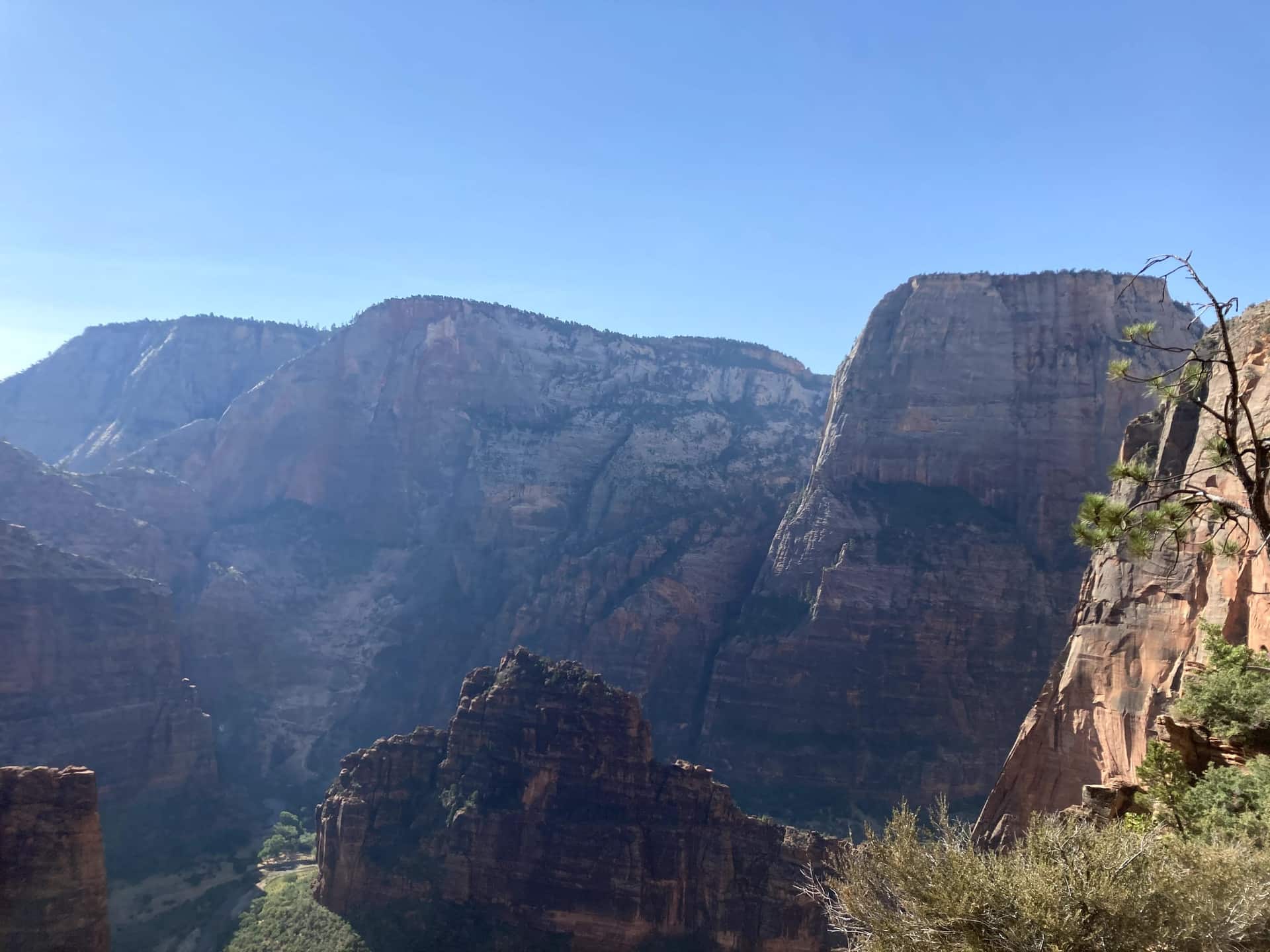 Zion Canyon from near Scout Lookout, sandstone walls dropping to the Virgin River, photographed by the innkeepers