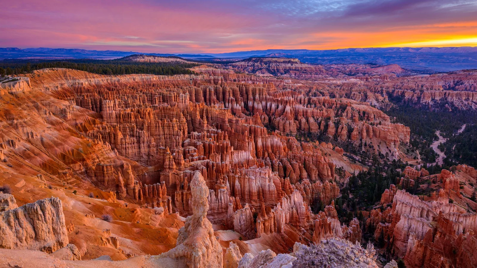 La chaude lumière du petit matin frappant des cheminées de fée en grès rouge sous la crête d'un canyon à l'aube, un ciel de lever de soleil violet et orange au-dessus