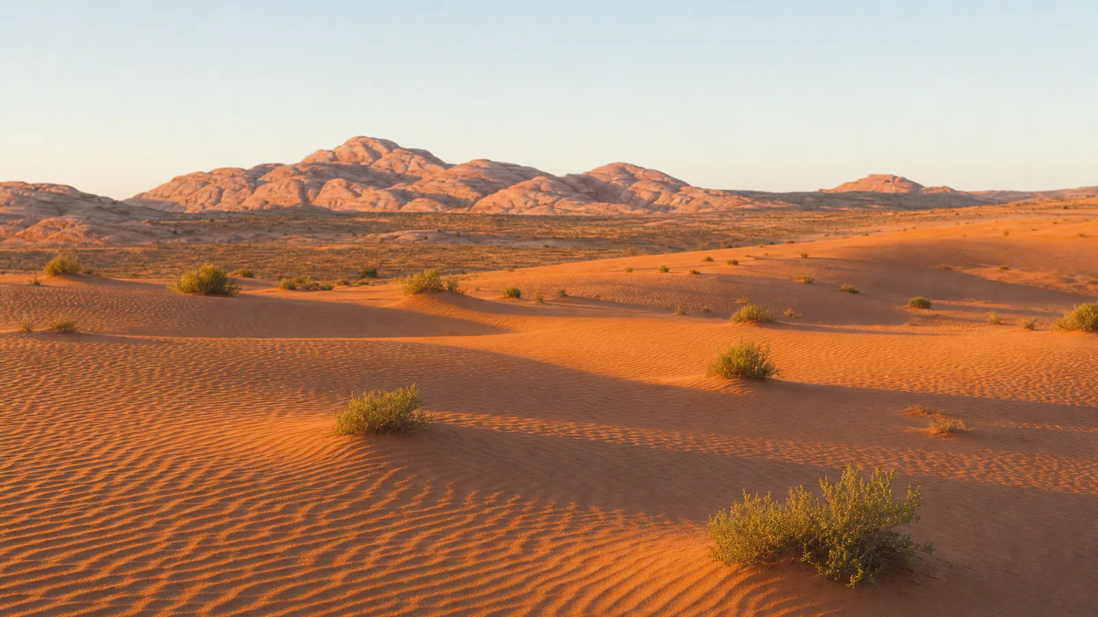 Door de wind geribbeld koraaloranje zandduinen met verspreide woestijnstruiken en lage zandsteenruggen in warm ochtendlicht, nabij Kanab, Utah