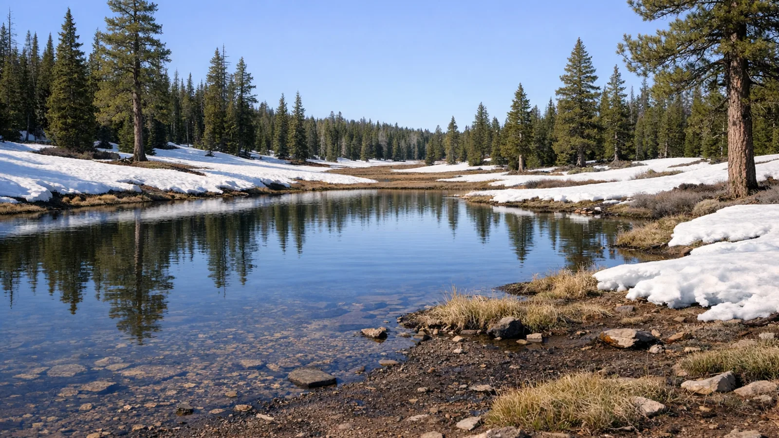 Late-season snow around a quiet mountain pond near Duck Creek Village with pine forest reflections and clear morning light