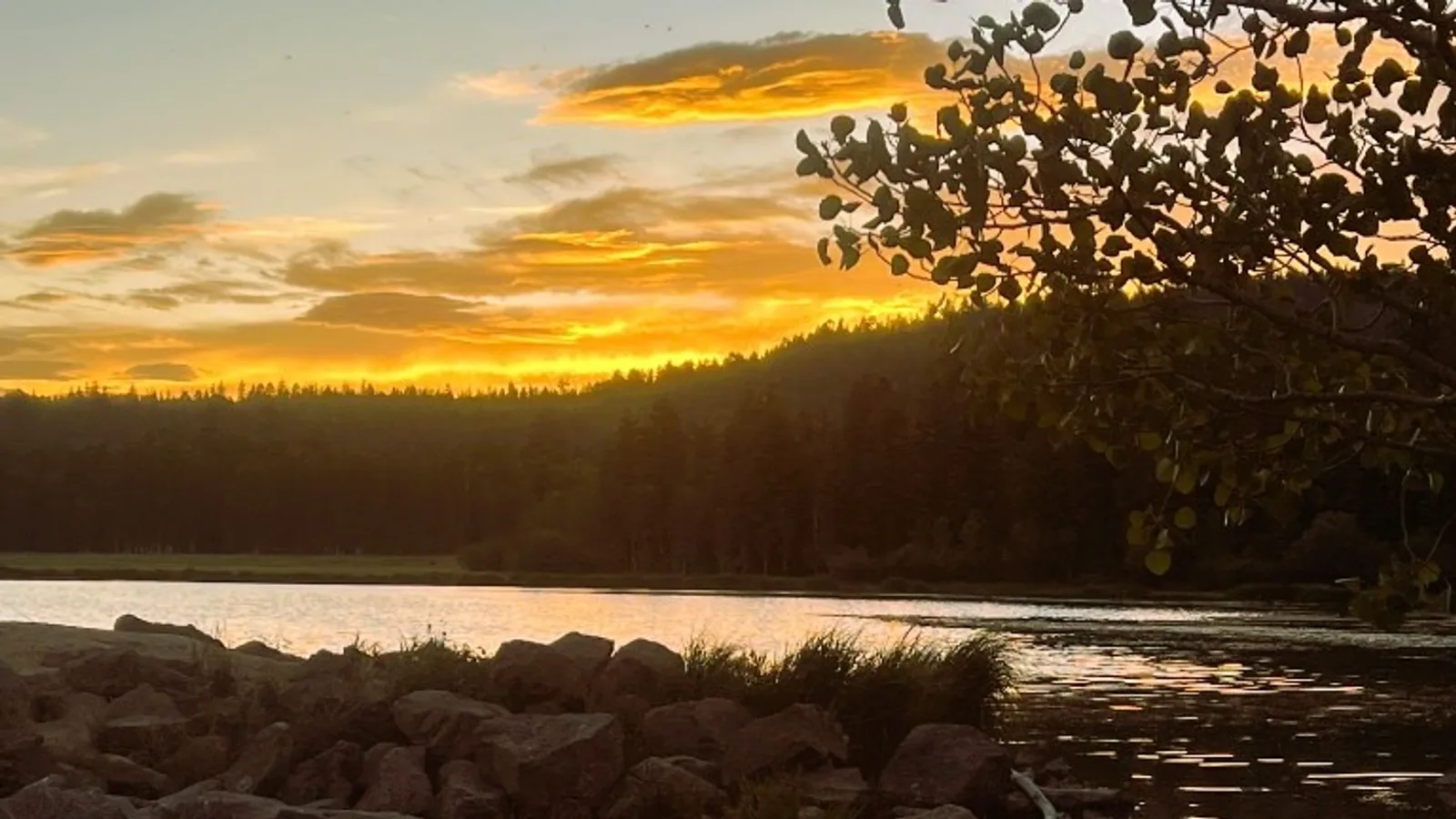 Nuages orange au coucher du soleil au-dessus d'une ligne sombre d'épicéas et de sapins, avec une eau calme et une rive rocheuse au premier plan et des feuilles de trembles sur le bord droit
