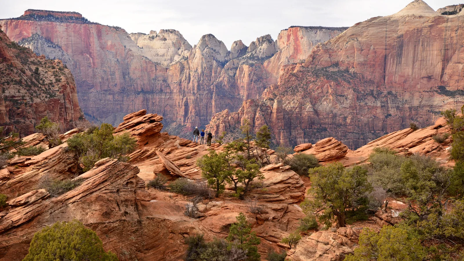 Red sandstone canyon on the east side of Zion National Park seen from the Canyon Overlook
