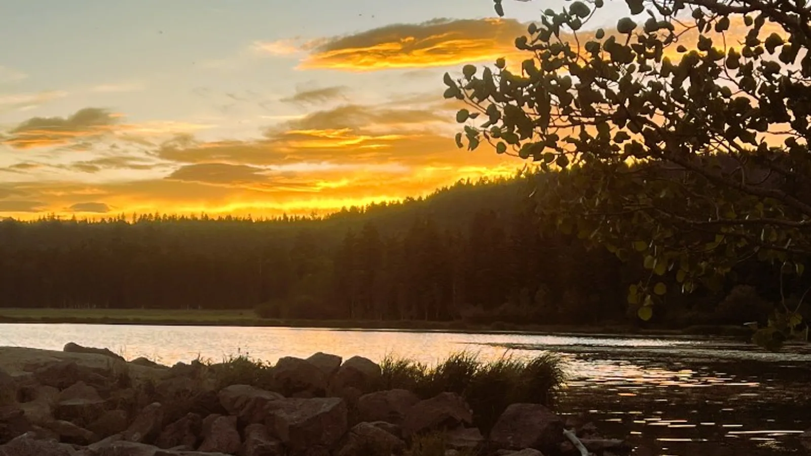 Alpiner See bei Duck Creek Village mit Kiefern, weichem Abendlicht und ruhigem Bergwasser