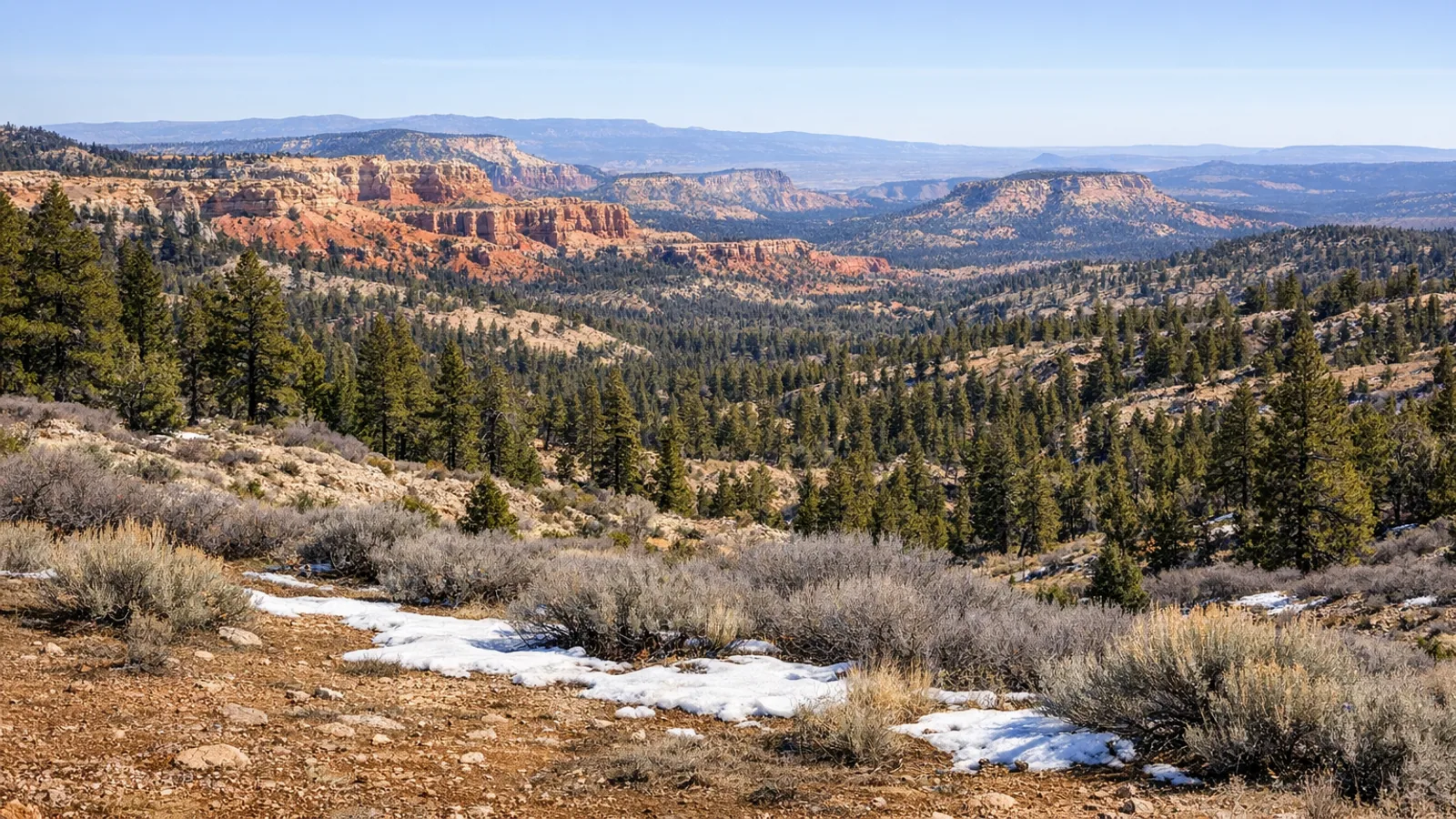 Vista alta de la zona de Bryce con pinos, roca roja y cielo limpio sobre una parada tranquila junto a la carretera