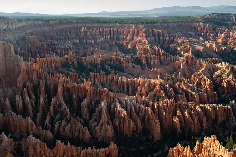 Orange hoodoos and pine trees in Bryce Canyon