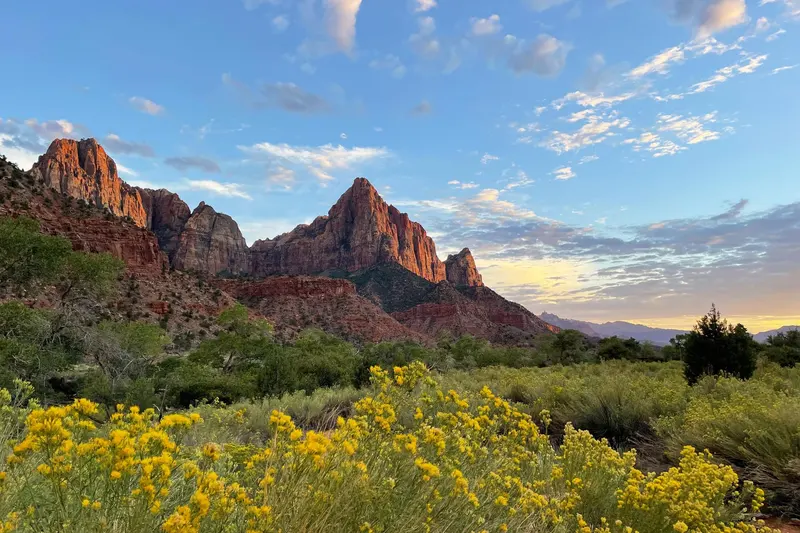 Sandstone cliffs rising above Zion Canyon